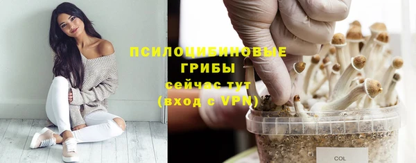 ALPHA PVP Карталы