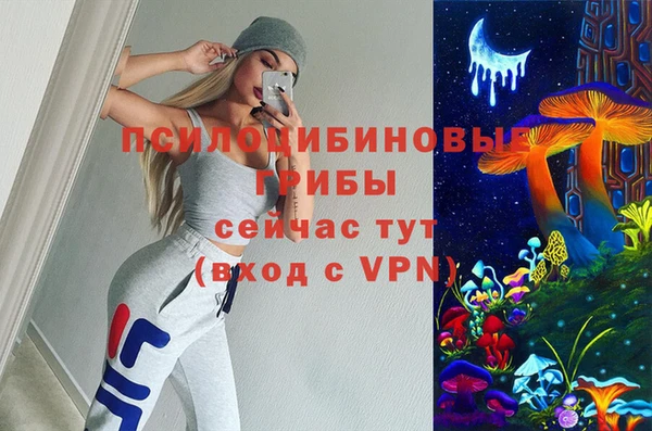 ALPHA PVP Карталы