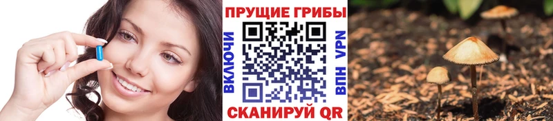 Галлюциногенные грибы мицелий  Купить  Бежецк 