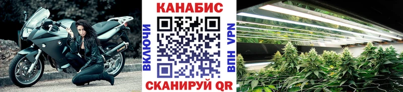 Бошки Шишки сатива  Купить  Бежецк 